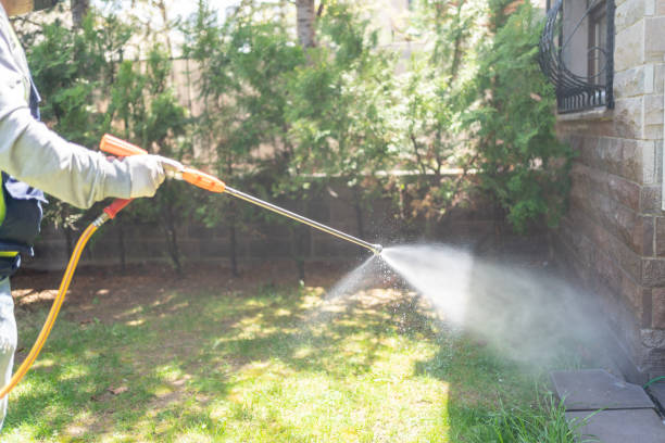 Best Ant Control Services  in Heceta Beach, OR